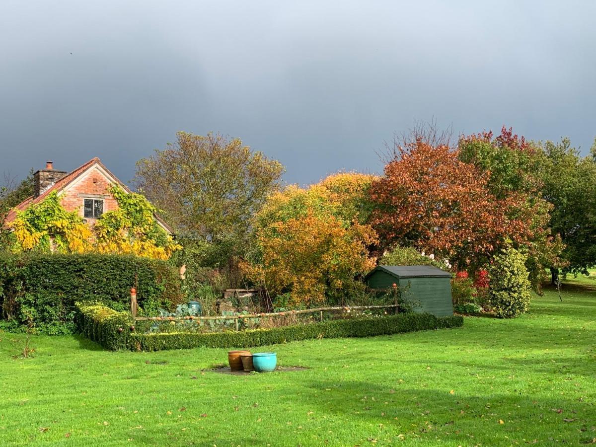 Medieval Cottage In Rural Monmouthshire. Raglan Exteriér fotografie